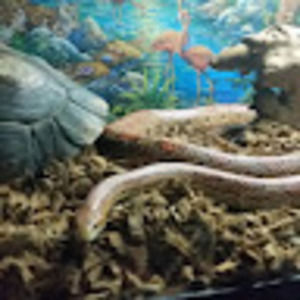 Meet your Posher, Richard